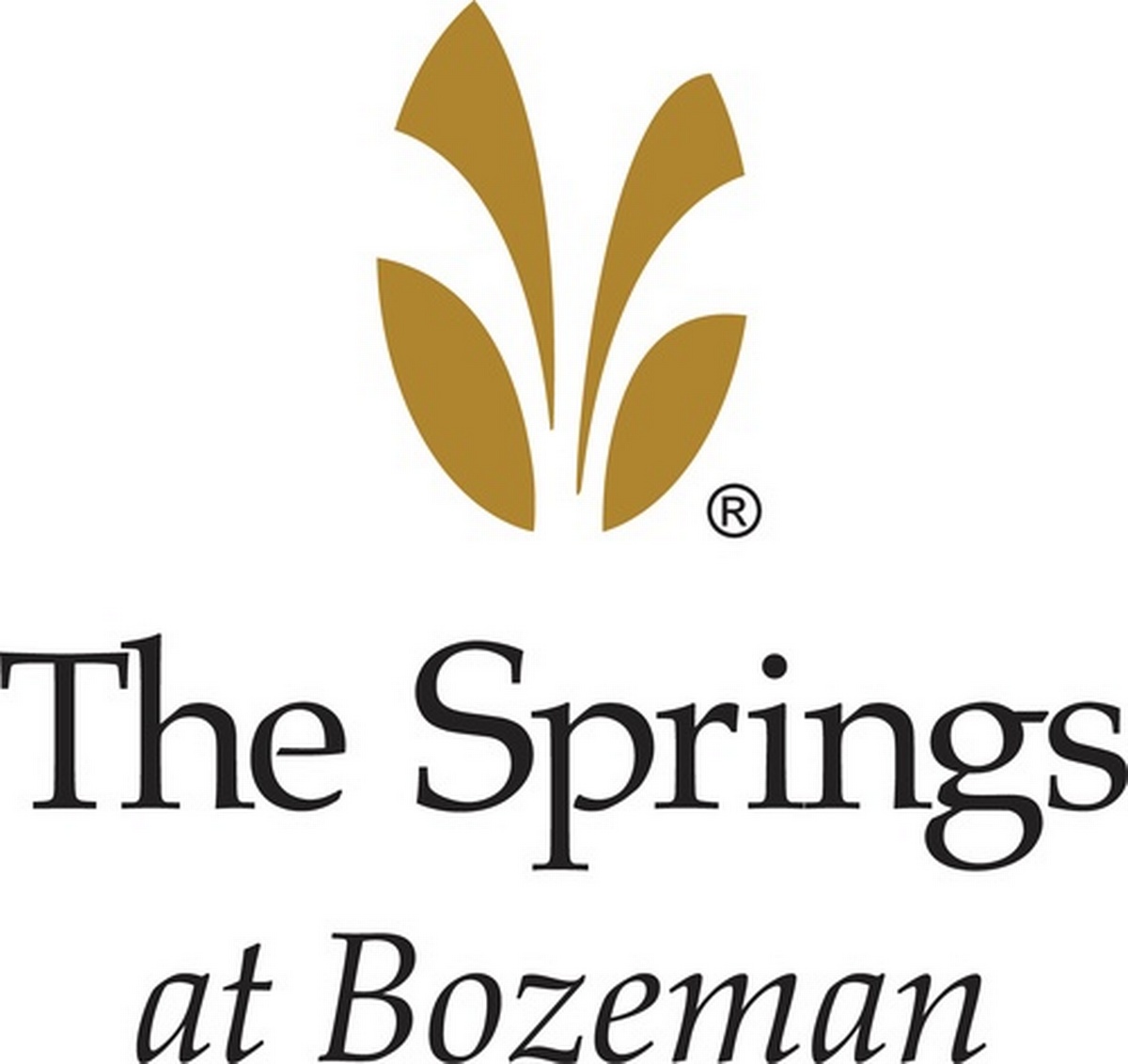 Business Before Hours The Springs Living at Bozeman Jul 10, 2025